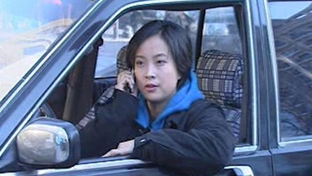 云雀行动 15集