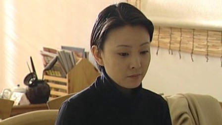 真相内地版 13集