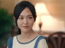 归去来 41集