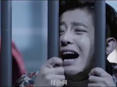 寒武纪 12集