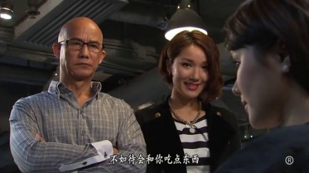 忠奸人 19集