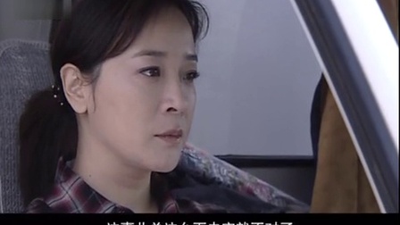 复婚 27集
