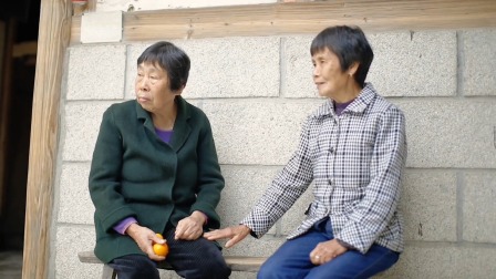 破产女总裁&middot;回乡当村长 4集