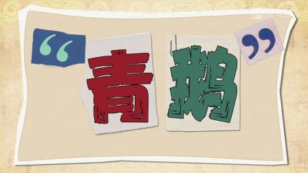 斑马百科mini：奇趣人文 14集