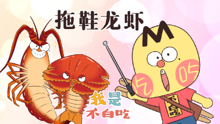 我是不白吃 第三季 219集