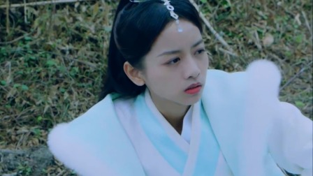 红颜殇 12集