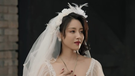 孤鸢 24集