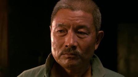 光荣大地 6集