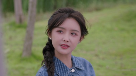 大厨小婿 12集