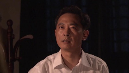 黎明前的暗战 25集