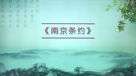 历史八年级上册 人教部编版 4集