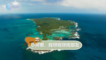动物宝宝历险记 3集