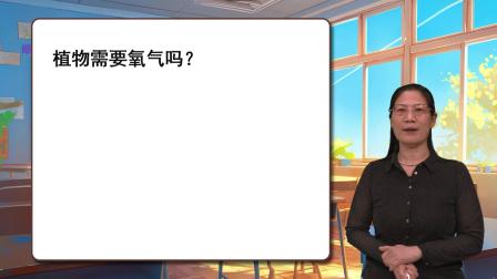 初中生物知识点全解析 95集