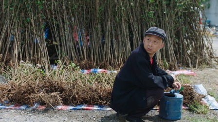 春风又绿江南岸 33集