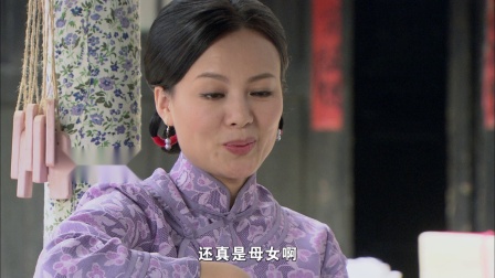 桃花劫 13集