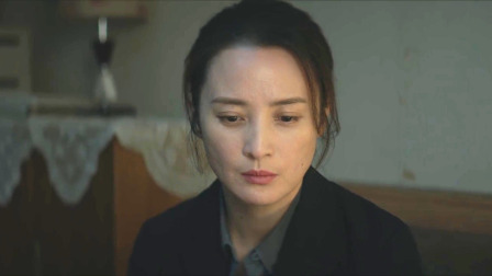 迷雾追踪 15集