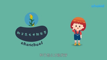 麦奇的为什么 百科动物篇 20集