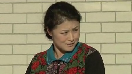 乡村爱情4 22集