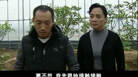 香水 8集