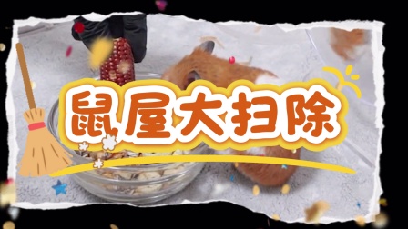 小仓鼠&ldquo;拆家&rdquo;记 5集