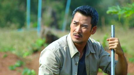 绿野心踪 DVD版 6集