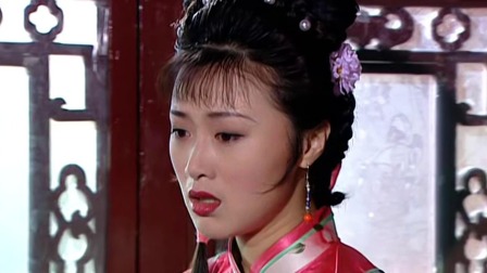 扬州八怪 19集