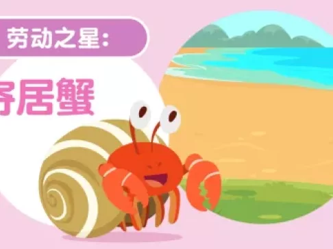 超萌动物园 新奇动物大派对 7集