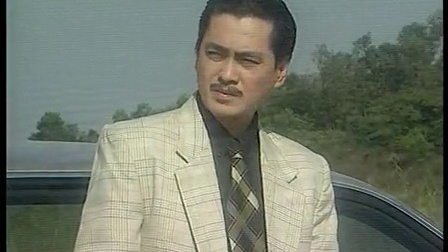 东方母亲 20集