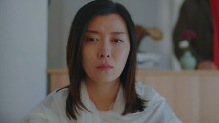 雾中系铃人 11集