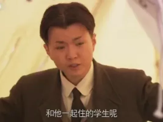 我们的法兰西岁月 20集