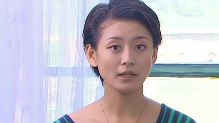 乡村爱情 第1部 25集