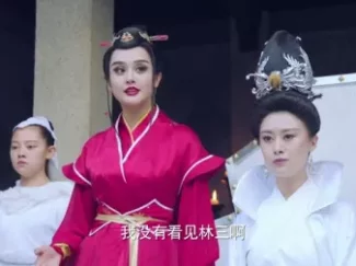 极品家丁 弹幕版 24集