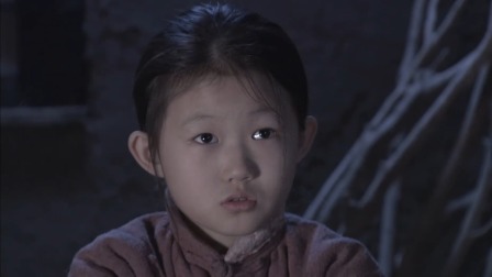 平原烽火 12集