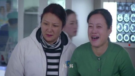 急诊室故事 35集