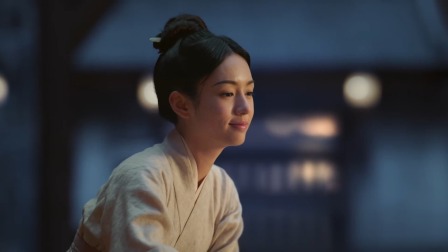 为有暗香来 29集