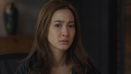 追匪游戏 29集