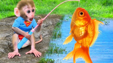 小猴子啵啵 第5季 13集