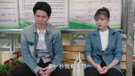 那座城这家人  DVD版 28集