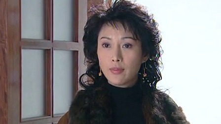 追查到底 7集