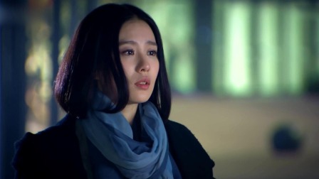 步步惊情 28集
