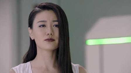 百慕迷踪 24集