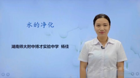 暑假高分特训营：化学 八年级 13集