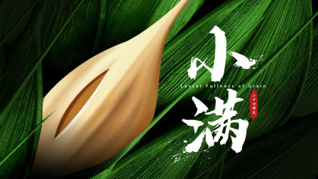 小小探险家：百科大讲堂 151集