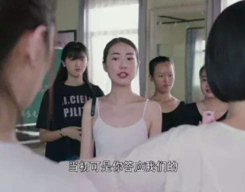 一路繁花相送 25集