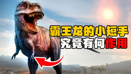 恐龙世界：探秘不一样的恐龙时代 5集