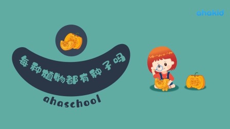 麦奇的为什么 百科动物篇 21集