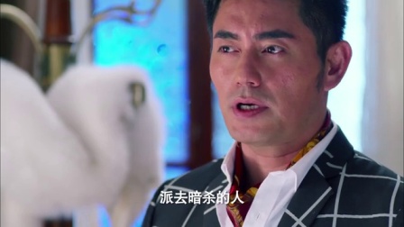 新猛龙过江 12集