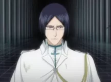 bleach 境&middot;界 决战蓝染篇 16集