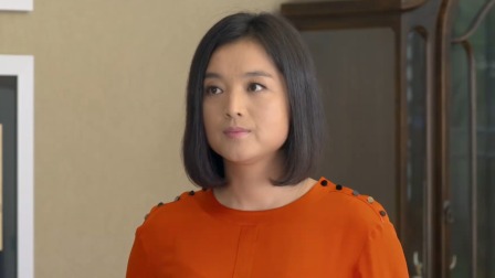 龙门村的故事 19集