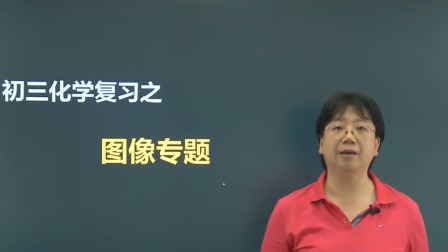 九年级化学总复习下 5集